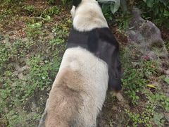 -泉州海丝野生动物世界
