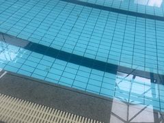 -汇乐游泳馆(莲花南路店)