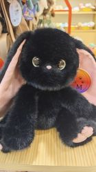 -国际蓝孩BabyInternational(杭州嘉里中心店)