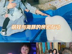 -大连圣亚海洋世界