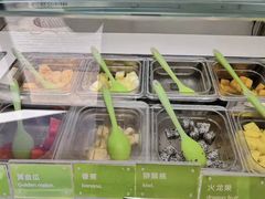 -Salud撒露欧洲冻酸奶(798艺术区店)