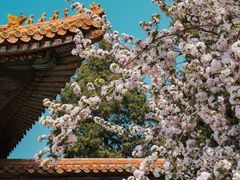 -故宫博物院(故宫)