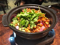 胡须佬鸡煲-凤兴鸡煲(宝安海雅店)