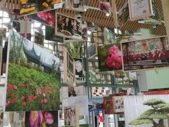 -上海植物园-4号门售票处