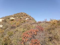 -大岭沟猕猴桃谷风景区