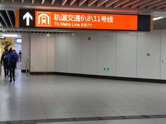 -东方体育中心(地铁站)