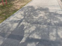 -羊山湖公园