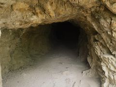 -上海佘山国家森林公园天马山园