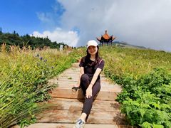 -白草畔自然风景区