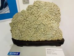 -中国第四纪冰川遗迹陈列馆