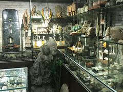 -中福古玩城(浙江中路店)
