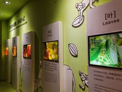 -歌斐颂巧克力小镇