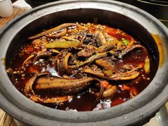 -听香·678茶铺(猛追湾店)