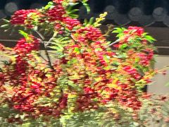 -在前门·烤鸭北京菜(五月花广场店)