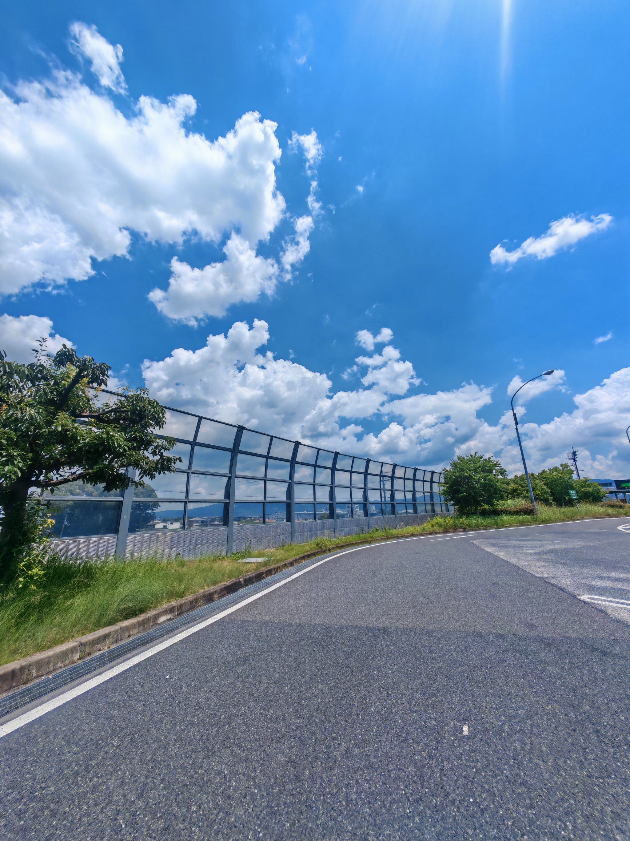 乡村路上的风景线