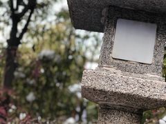 -楼观道温泉酒店