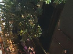 -绿茶餐厅(汇悦大融城店)