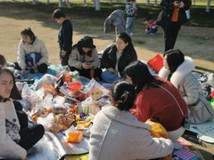 -艾溪湖湿地公园