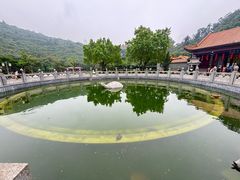 -顺峰山公园