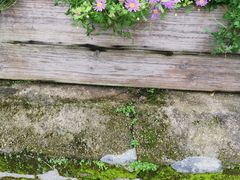 -老屋咖啡