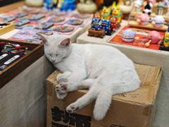 -三亚西岛海洋文化旅游区