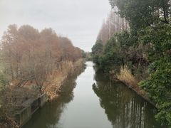 -上海长兴岛郊野公园