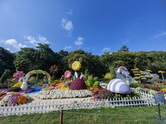 -上海共青森林公园