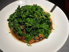 蚌肉金花菜-吴越荣记·苏州菜·松鼠桂鱼(斜塘老街店)