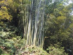 -四洞沟景区