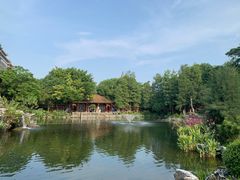 -顺峰山公园