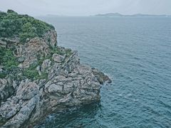 -杨梅坑