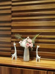 -广州萨谛艾扬格瑜伽中心