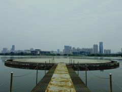 -月湖风景区