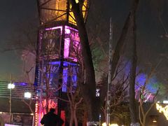 -枫花园汽车电影院(朝阳公园店)