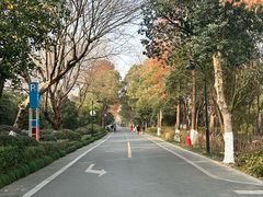 -西溪国家湿地公园