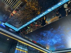 -屋有岛沉浸游戏旗舰店(中山公园店)
