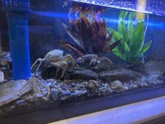 -济南凯宾斯基酒店-THE VIEW云景全日制餐厅