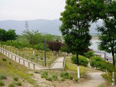 景点-白浮泉公园