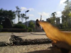 -龙江公园