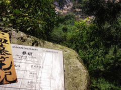 -碧峰峡风景区