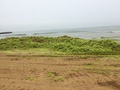 银沙滩-青岛银沙滩