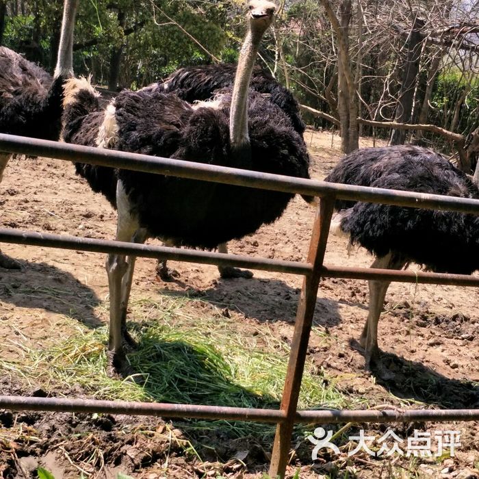 南昌動物園十二生肖文化體驗館