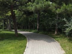 -元大都城垣遗址公园