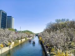 -元大都城垣遗址公园