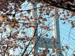 -南浦大桥长途旅游客运站