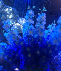 -格乐利雅婚礼艺术中心(浦东花木店)
