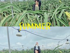 -硇洲岛旅游区