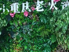 -小重庆老火锅(海棠路店)