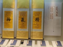 -广东中医药博物馆