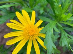 -西南民族大学南区(双流校区)